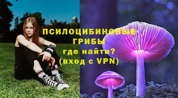 герыч Мегион