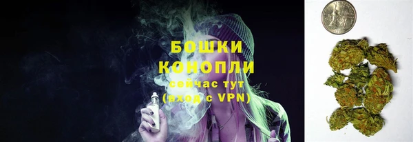 герыч Мегион