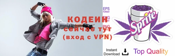 герыч Мегион