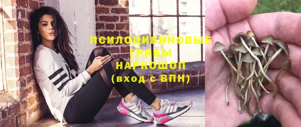 герыч Мегион