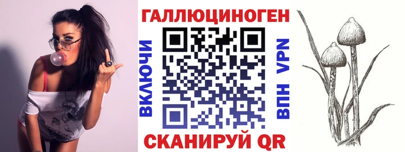 блэк спрут tor  Донецк  Галлюциногенные грибы MAGIC MUSHROOMS 