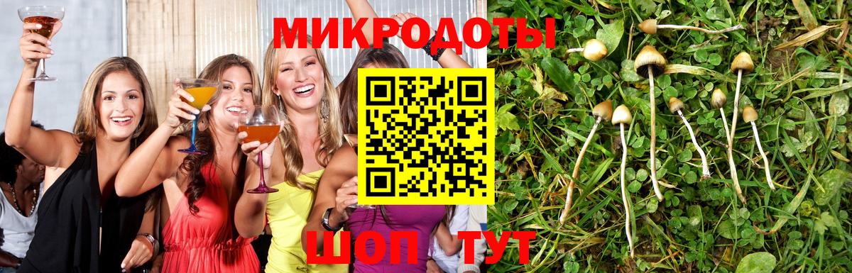 Псилоцибиновые грибы MAGIC MUSHROOMS  Донецк  закладка  Псилоцибиновые грибы ЛСД 